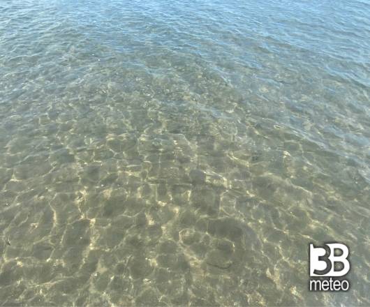 Rosolina mare