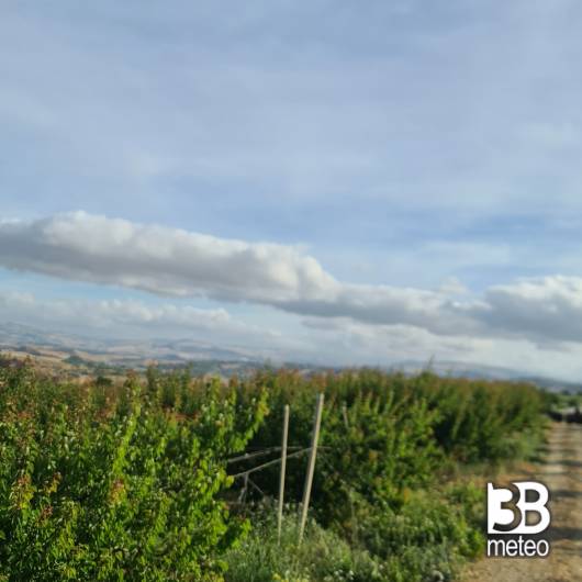 Caltanissetta sud