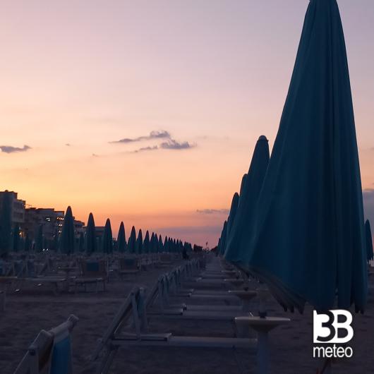 Bellaria igea marina
