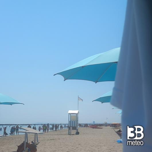 Bellaria igea marina