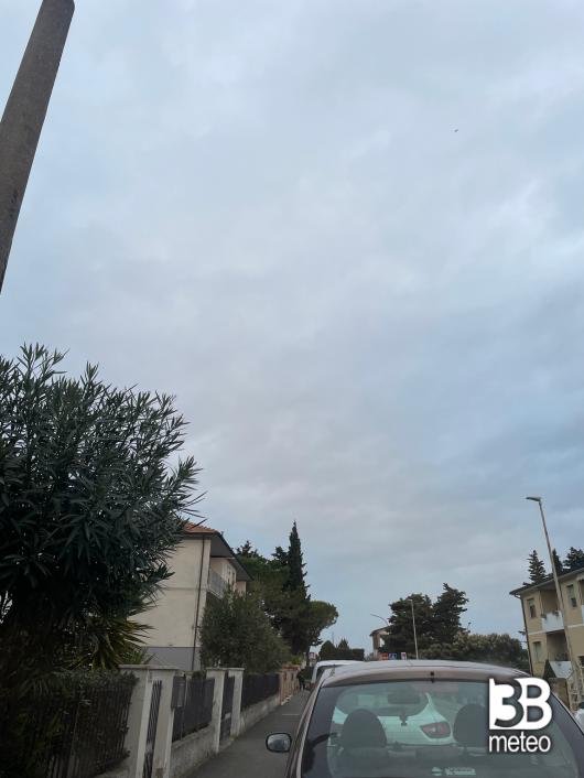 Bibbona