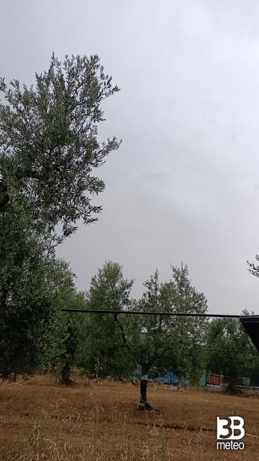 Ore 18.09