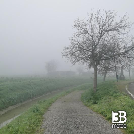 Nebbia a Camponogara