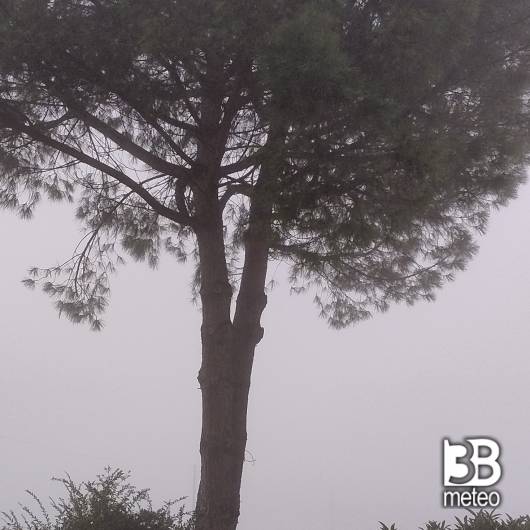 nebbia in prima mattina