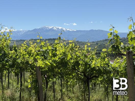 dalla verde pianura lancianesetra una vigna e laltrasua maesta'la majella