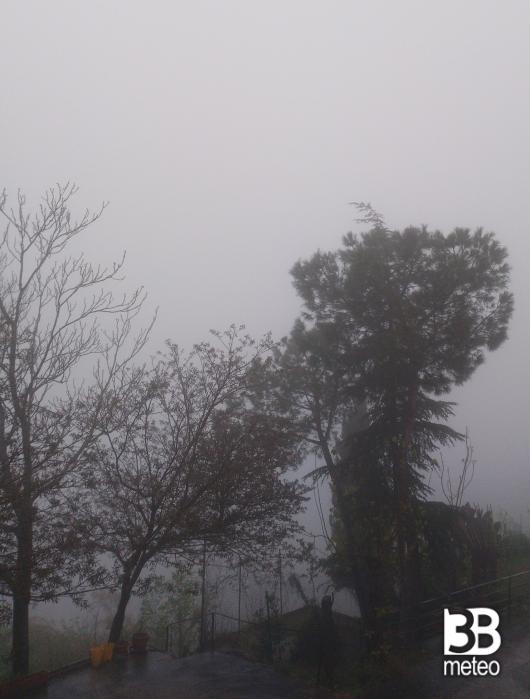nebbia