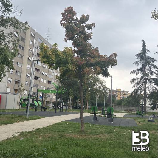 Piacenza centro urbano