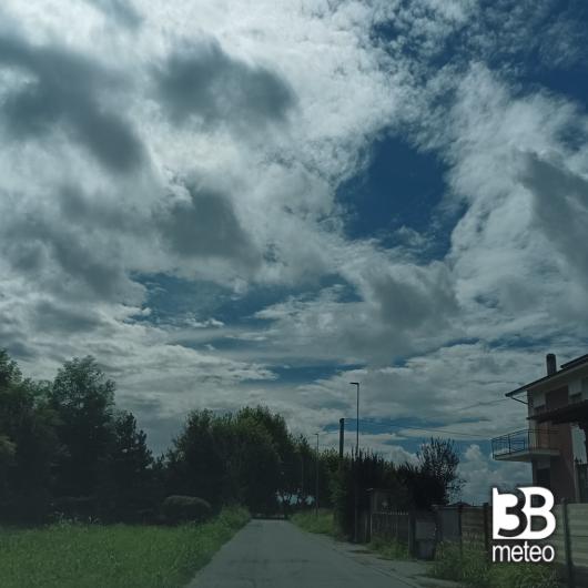 Cervere