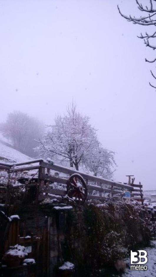 nevischio