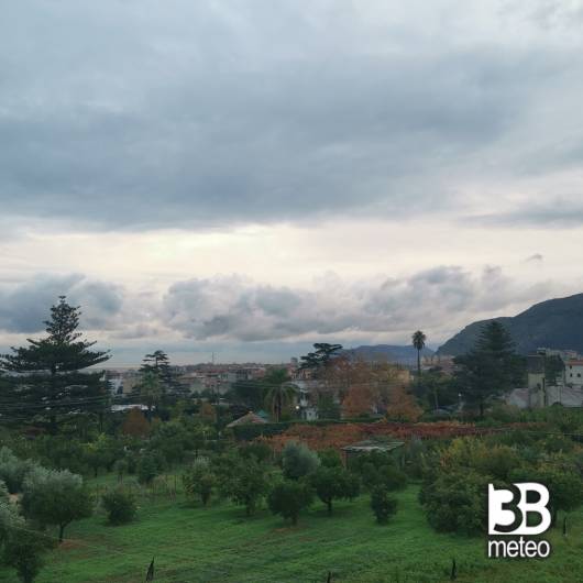 Palermo villagrazia - falsomiele