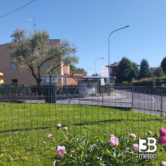 Buongiorno