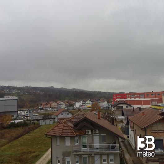 Matuzii