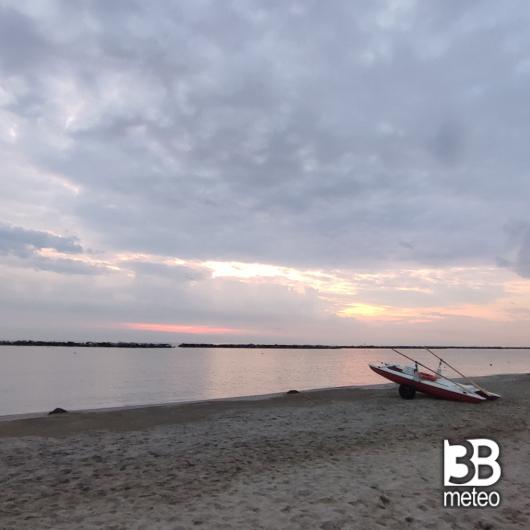 Bellaria igea marina