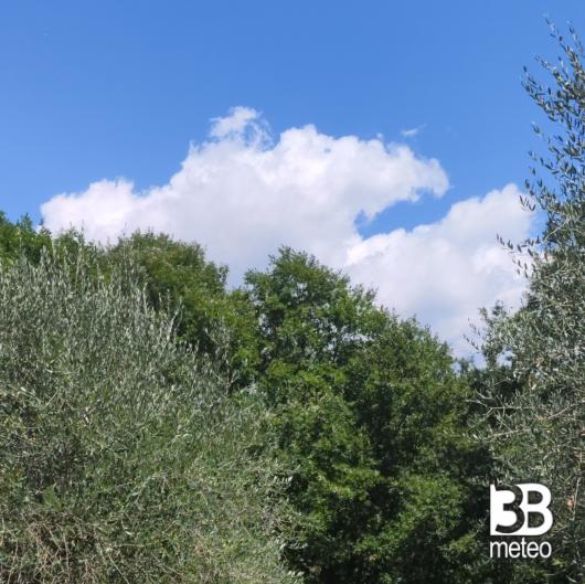 Cielo quasi sereno