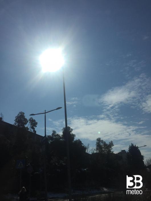 Sole