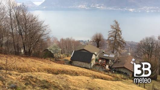 Monti rava