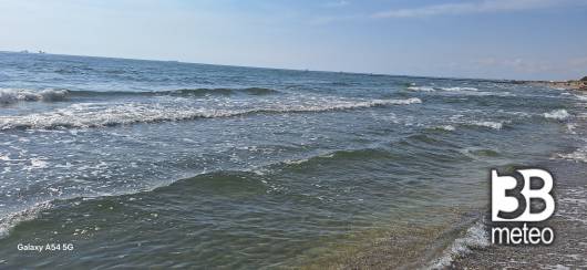 onde placide