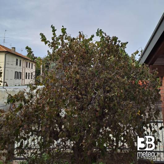 Bregnano