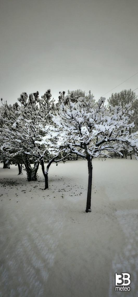 neve    novembrina