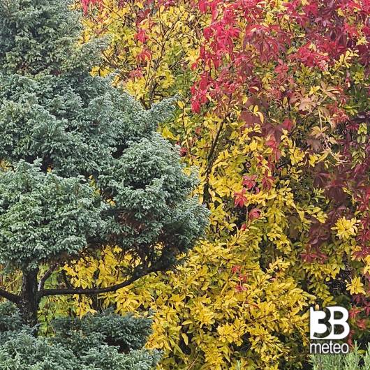 colori d'autunno