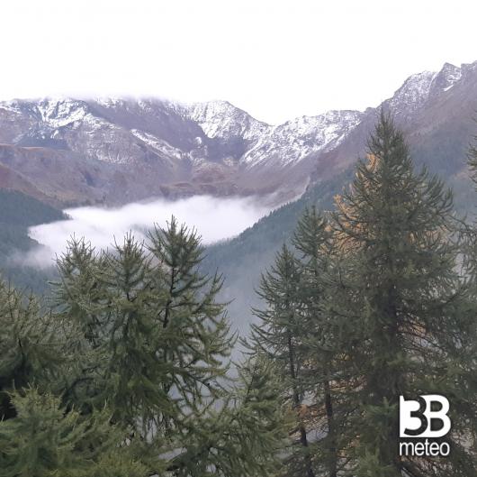 prima neve