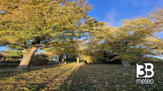il parco