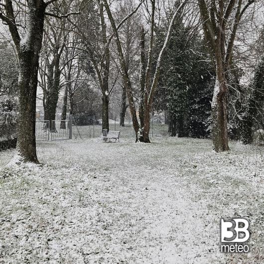 parco cani