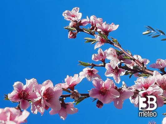 arriva la primavera..