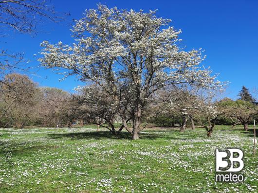 al bosco didattico e' gia' primavera