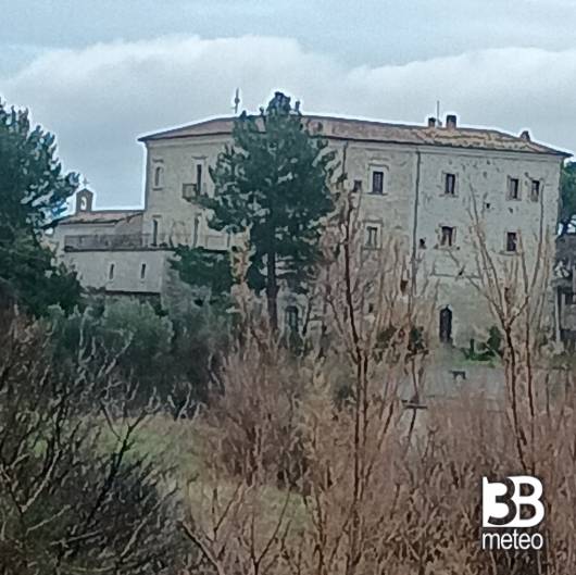 Carpineto sinello