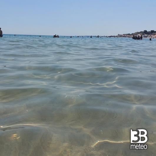 mare piatto