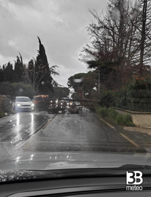 albero e detriti in via g. fanales