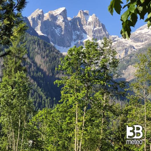 Cime del focobon pale di san martino