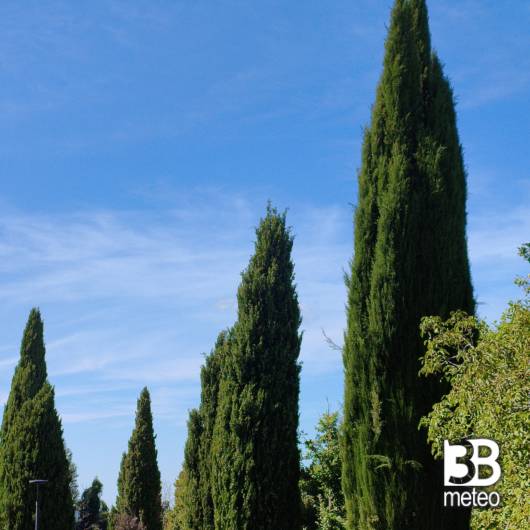 Seggiano