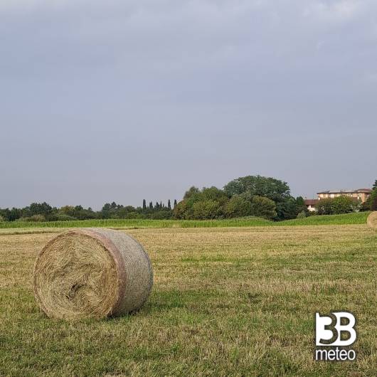 Alba