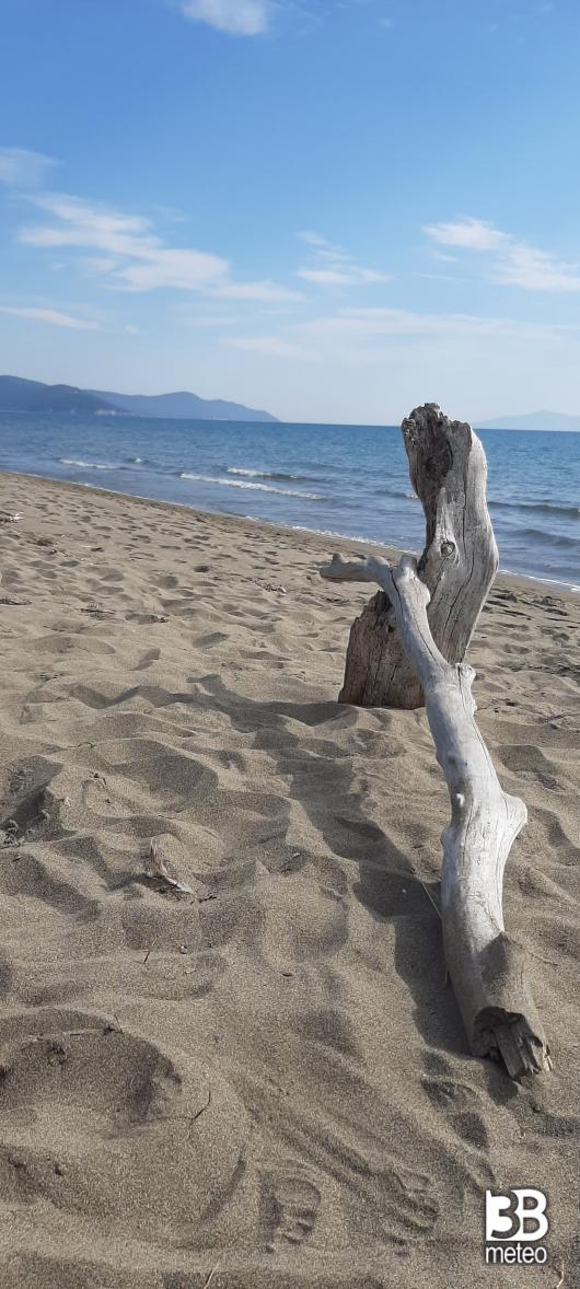 mare