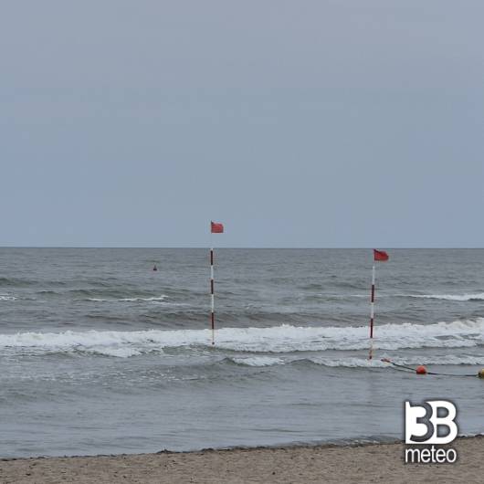 Rosolina mare