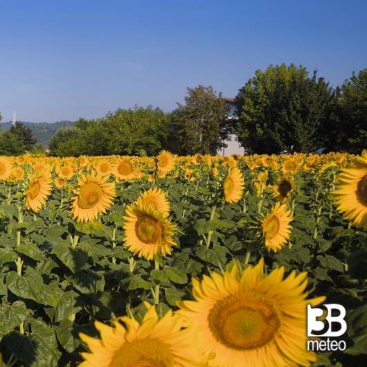 giornata di sole