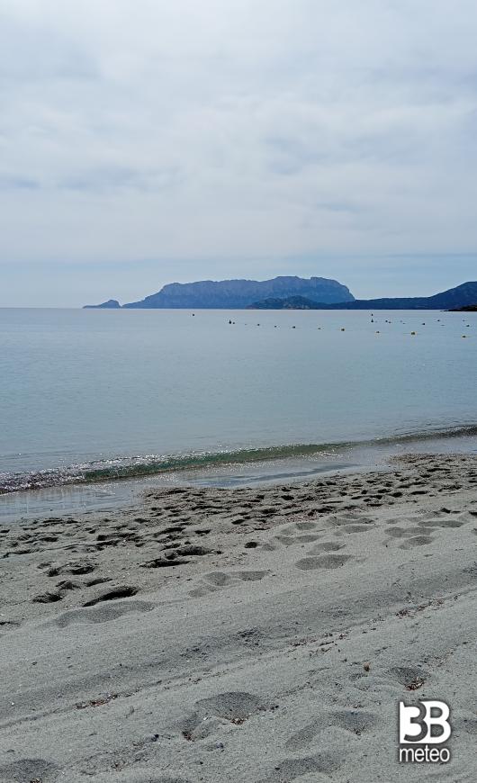 spiaggia squalo
