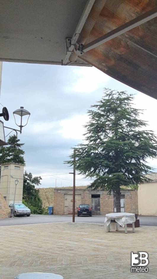 Meteo montalto