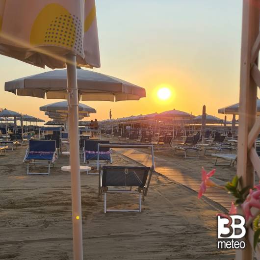 Bellaria igea marina