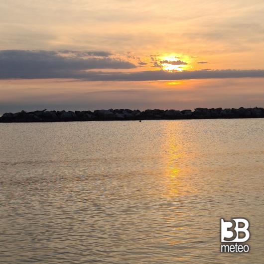 Bellaria igea marina