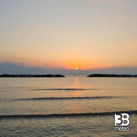 Bellaria igea marina