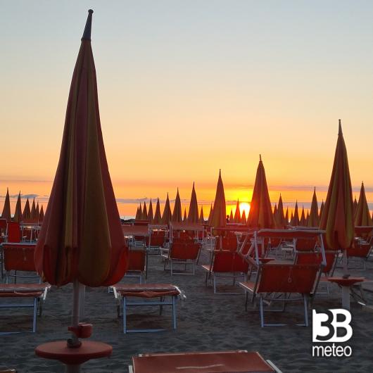 Bellaria igea marina