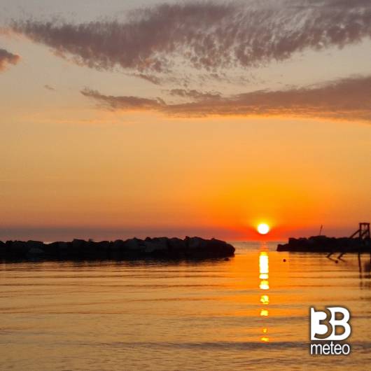 Bellaria igea marina