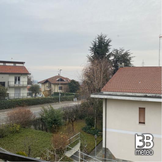 Pino torinese