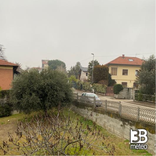 Pino torinese