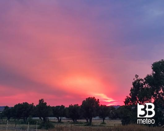 rosso calabrese agosto 22