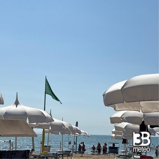 Lignano pineta