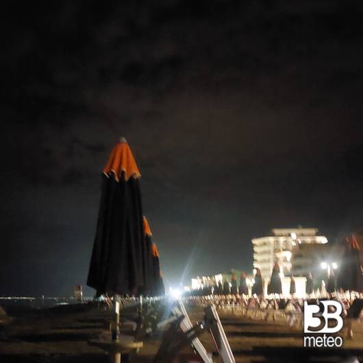 Bellaria igea marina
